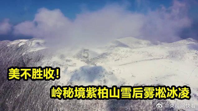 小坦克大战争